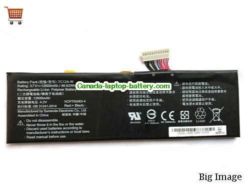 OTHER TC12A-W Replacement Laptop Battery 12600mAh, 46.62Wh  3.7V Black Li-ion