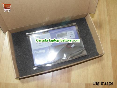 Canada Used IBM FastT 600 DS4300 Battery 3204 ( 24P8062 24P8063 )