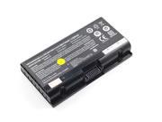 Replacement Laptop Battery for SAGER NP8371,  5500mAh